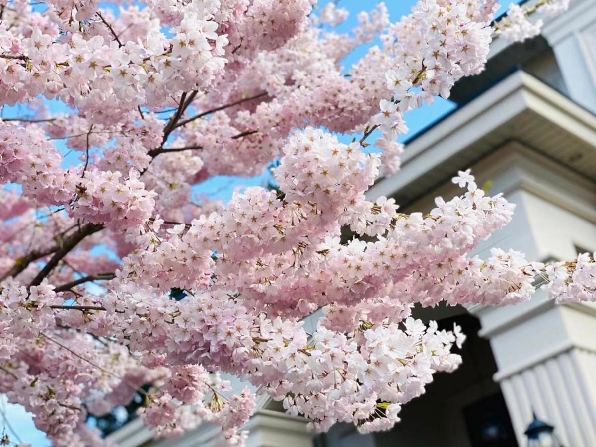 Vancouver Shangrila House 列治文 外观 照片