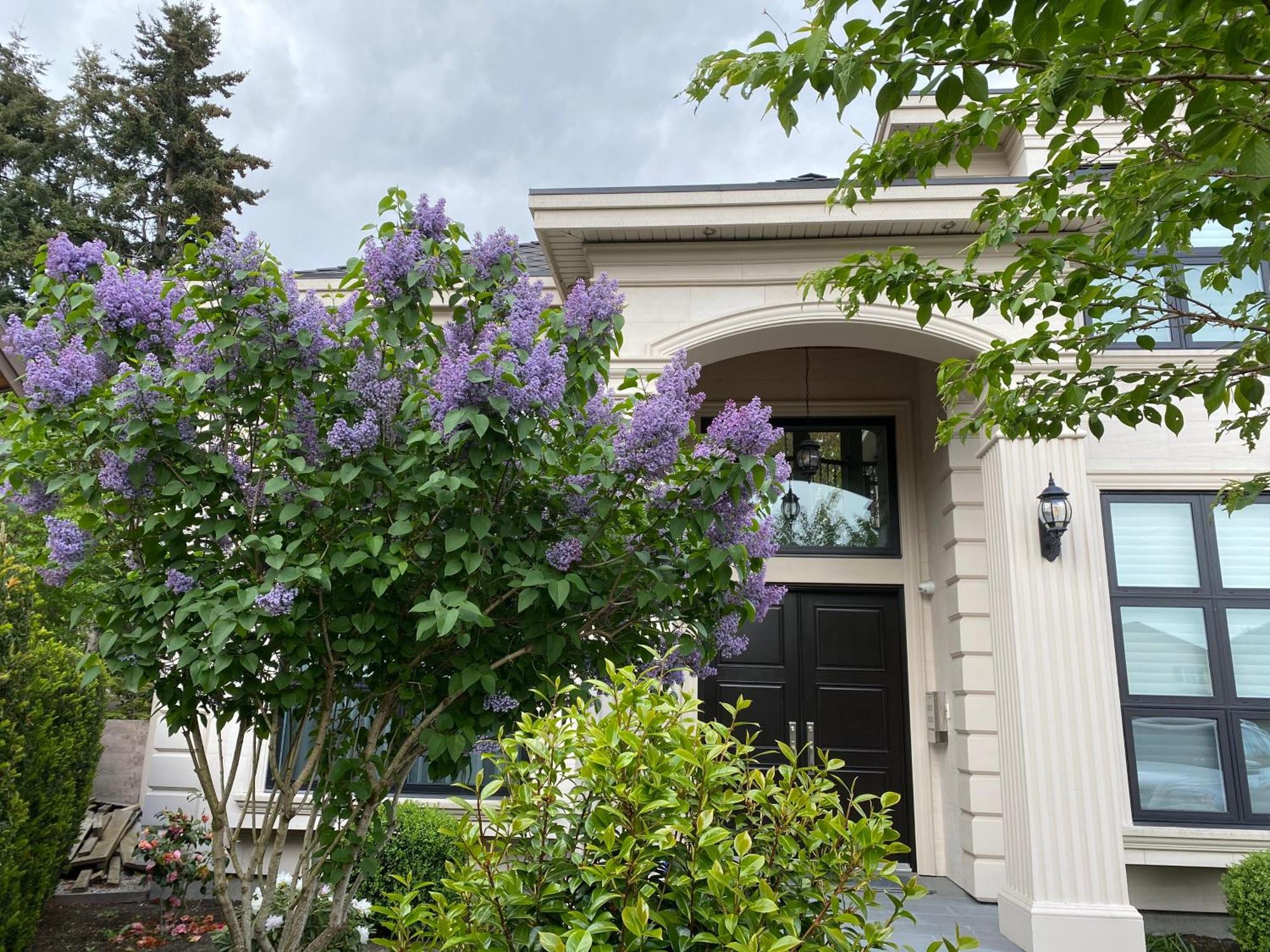 Vancouver Shangrila House 列治文 外观 照片