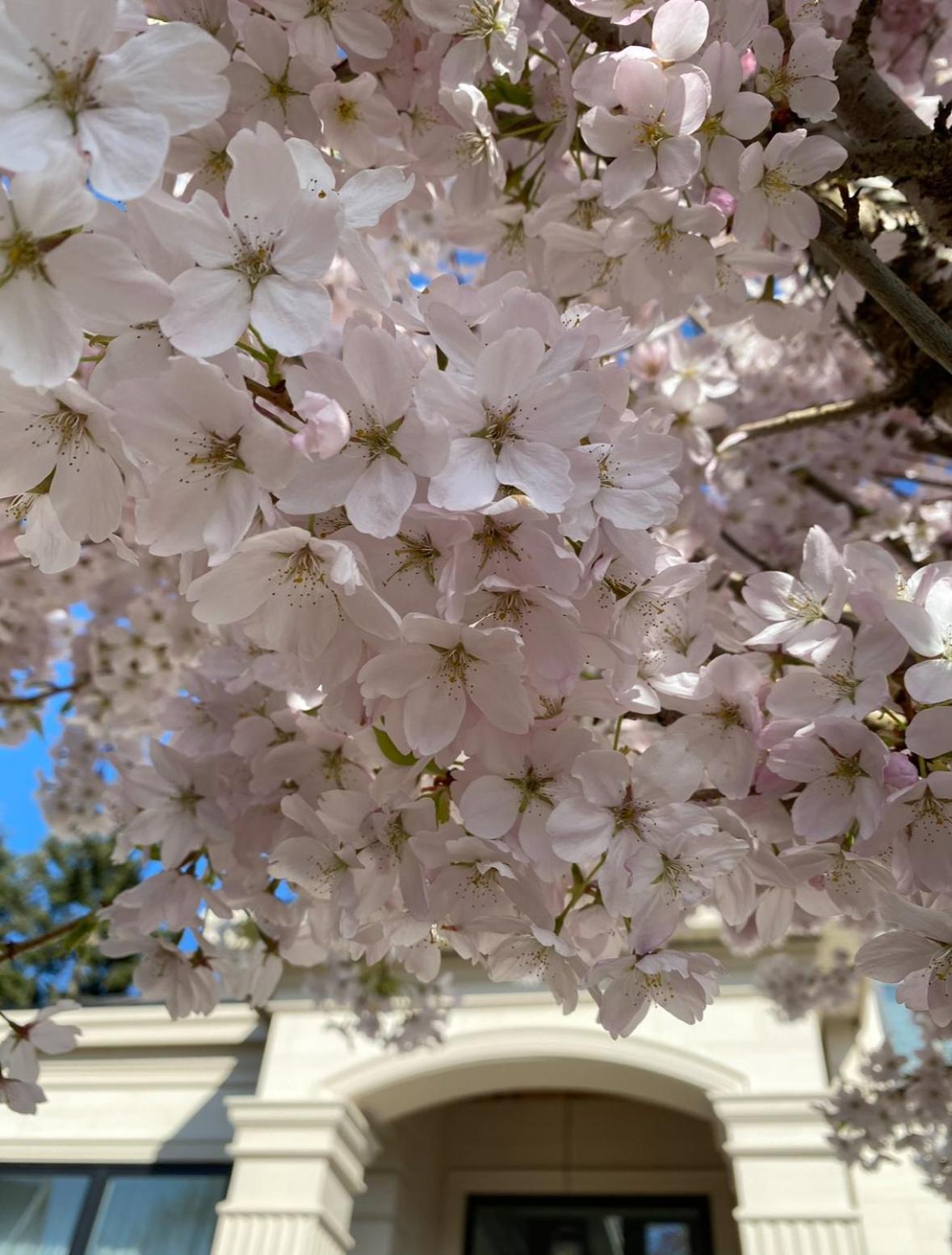 Vancouver Shangrila House 列治文 外观 照片